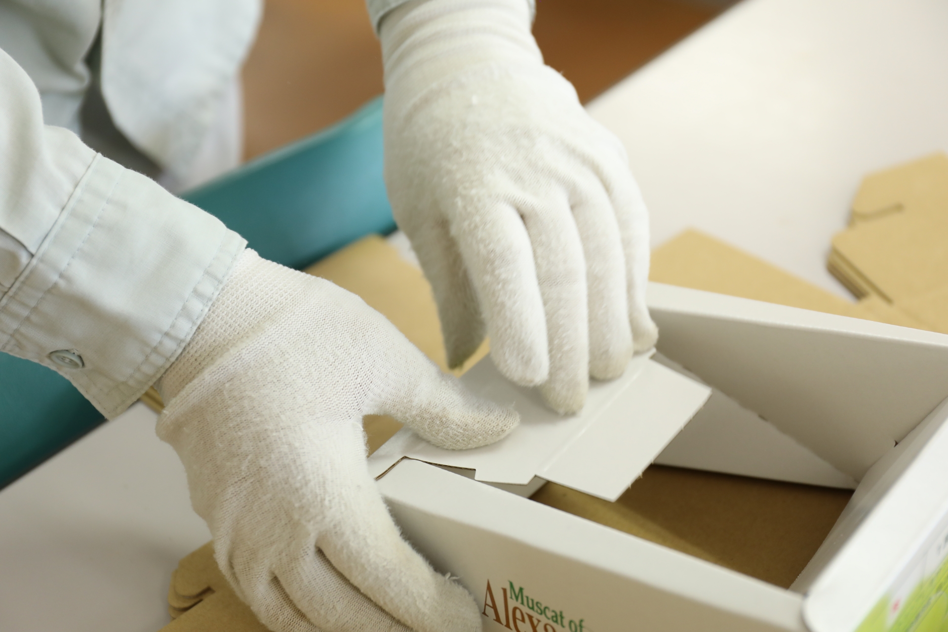 B型事業所とは？初心者でも3分でわかる自分らしく働く第一歩